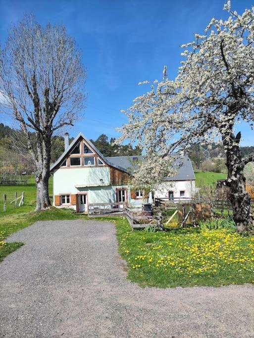 La Maison Dans Les Pres Labaroche Exterior foto